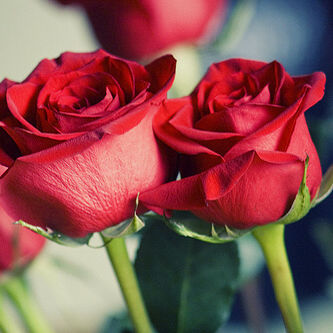 اللهم إني أسألك القبولَ في الأرض والمحبةَ في السماء”♥‏\ يوماا ماا .. س اانتمي االى وطن الناائمين طويلااا فَ ساامحوني ♡..” اللهم احسن خاتمتي ♥♥