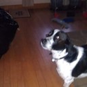 drew McElroy - @Dmm349 - Twitter