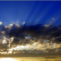 altiplano01's profile picture. 