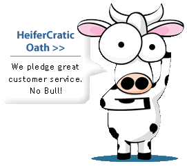 WebHosting984's profile picture. 
