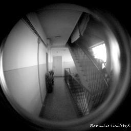 Fotograf007's profile picture. Serbia