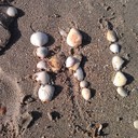 Robin Perron - @Misha1420 - Twitter