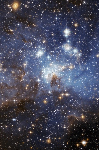 ereichow's profile picture. A Son, Brother, Husband, Father, Special Educator, Student, trying to participate actively in life, greeting each day like a stranger.