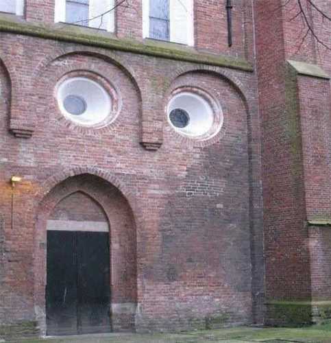 maximolum's profile picture. 