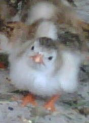 Sheright's profile picture. Grandma MeMe to our Colin Bear who was born with Angelman Syndrome. And I love photography (amateur/hobby/passion)!!