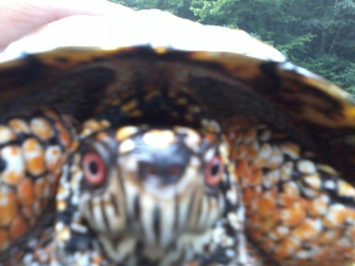 jlhunter28's profile picture. 