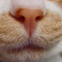 Joanna Straub - @joannamstraub - Twitter