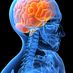 AP Psychology (@ap_psychology) Twitter profile photo