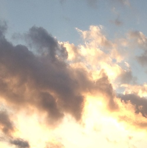 artist, in healing profession, free spirit, music & nature lover