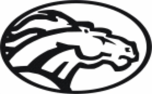 Class 3A Area 16. Twitter Page of Clements Athletics. Home of the Colts