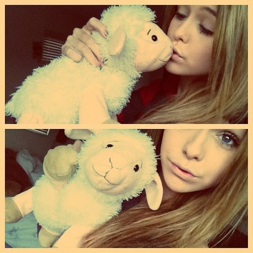 Fan account for Acacia's stuff animal, Shmuley. (: