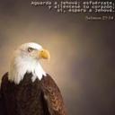 Jenniffer Guzman  - @JennifferElitte - Twitter