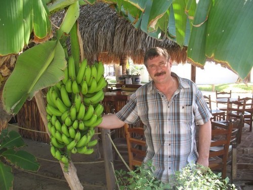 BrienMcCarthy's profile picture. 