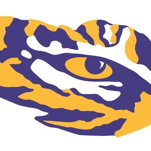 LSUTIGERFANS's profile picture. 