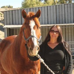 HorseBuckitList's profile picture. Horse Advocacy & Stories From The Heart - We publish tributes and original stories about horses, ponies, donkeys, and all other equines.