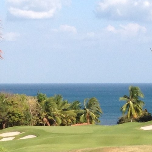 rickydz21's profile picture. 