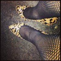 Maia (@sweetkila) 's Twitter Profile