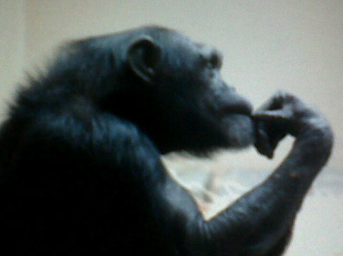 edwardmoreno_19's profile picture. Abogado @UNALOficial https://t.co/d6wVYkCLUr