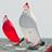 _benstrickland's profile image