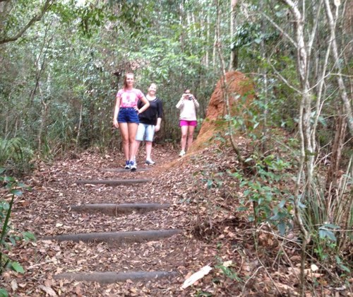 RundleDavid's profile picture. 