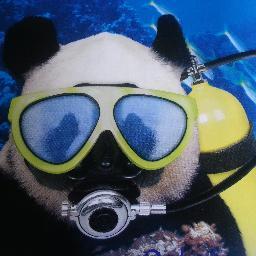 backpacker - shutterbug - scuba diver
