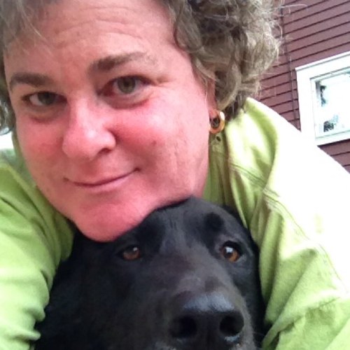 My life is a sitcom and my dog is the star.  
Librarian. Homeowner. Former redhead.