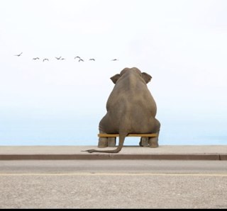 wendydyernew's profile picture. looking for quality...not quantity