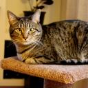 Lucy Clark - @LucyCatClark - Twitter