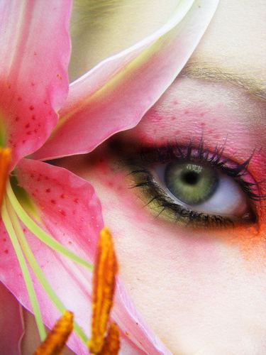 Enjoy the New Gallery World of Make-up