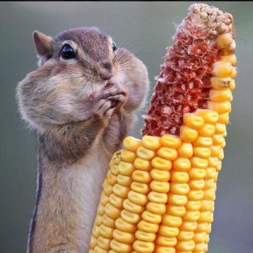 andrea31730's profile picture. 