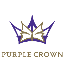 PurpleCrownComm's profile picture. We offer a wide range of services for publicly traded companies; corporate communications, business development and much more.