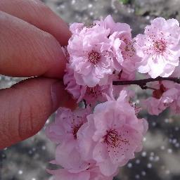 alexiasanmarti1's profile picture. 