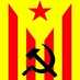 josep perarnau Rifà (@perarnaurifa) Twitter profile photo