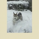 Amy Broome - @amychatterbox25 - Twitter