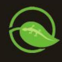 USA Leading Company Eco-gecko provide the eco-friendly products like wooden kitchen utensils, spoons, knives, forks, tableware and dinnerware