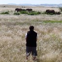 Stephen Pack - @step_pack - Twitter