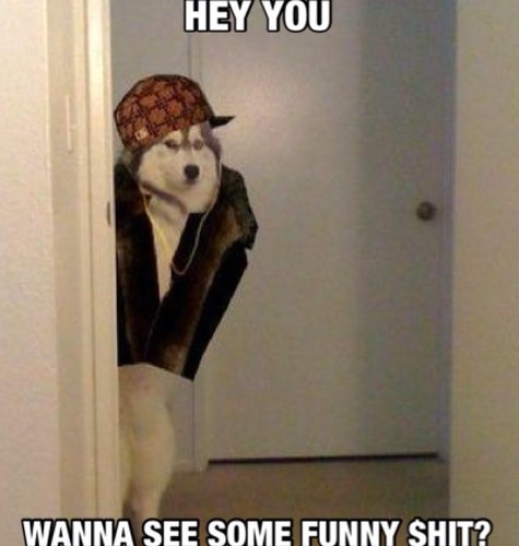 Just two friends here to fuck shit up..&post some original funny mems/jokes/whateverwefeellike in our free time hope you enjoy!!! Tell all your friends&moms ;)