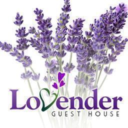 cs_lovender's profile picture. This is the official twitter page of Lovender Guest House Malang. FB Page: Lovender Guesthouse, Twitter; @lovender guesthouse