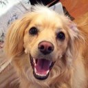 Andy Yeh - @omgitsnd - Twitter