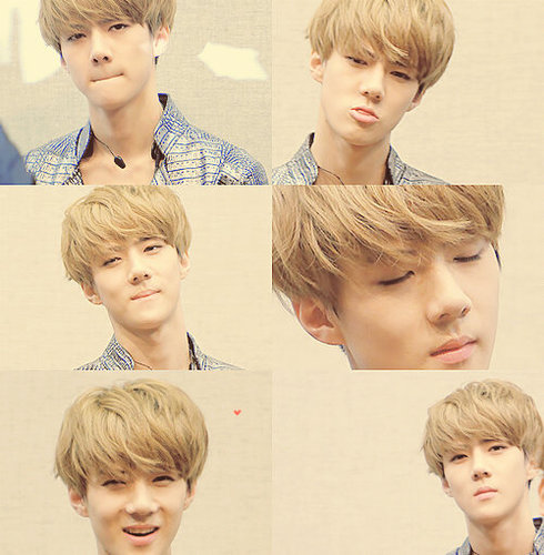 Random_RP | Sehun from EXO-K