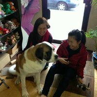 Sunny Do (@sunnehh) 's Twitter Profile
