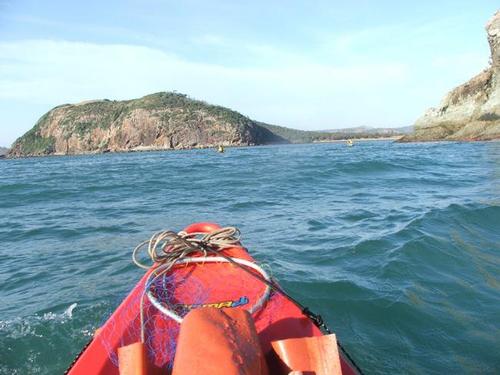 Capcoast Adventure Tours offer Kayak Adventures of The Great Barrier Reef & Islands, Horse Riding, Hiking, Shark Cage Diving: capcoastadventuretours@gmail.com