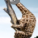 Danny Sweeney - @Dannysweeney321 - Twitter