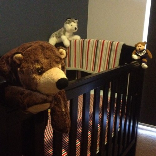 babyfid's profile picture. Currently waiting to be born. I am not due until April 2013. Thought I'd join twitter to help pass the time