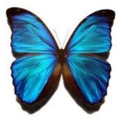 Creative writing agency, specialising in copywriting, journalism, social media planning & blogging.