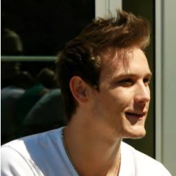 CinereoAnser's profile picture. 