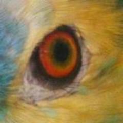 ferlescano3's profile picture. 