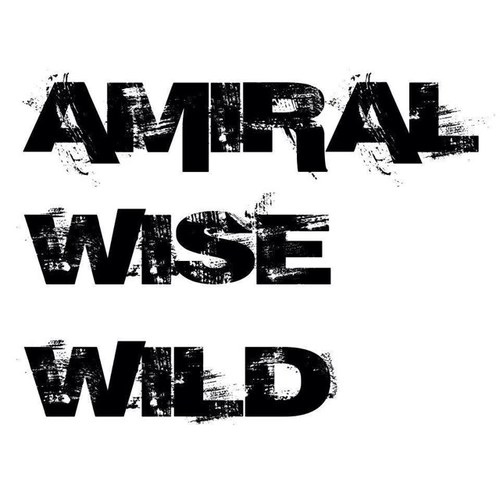 Lourd, gras, rageur, puissant et sans compromis,

tel est le rock que produit Amiral Wisewild.

New tracks soon, stay tuned Mofos!