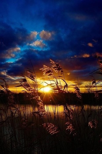 One pic per day, 365 times every year. Followback.