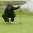 PeterEvansGolf's profile image